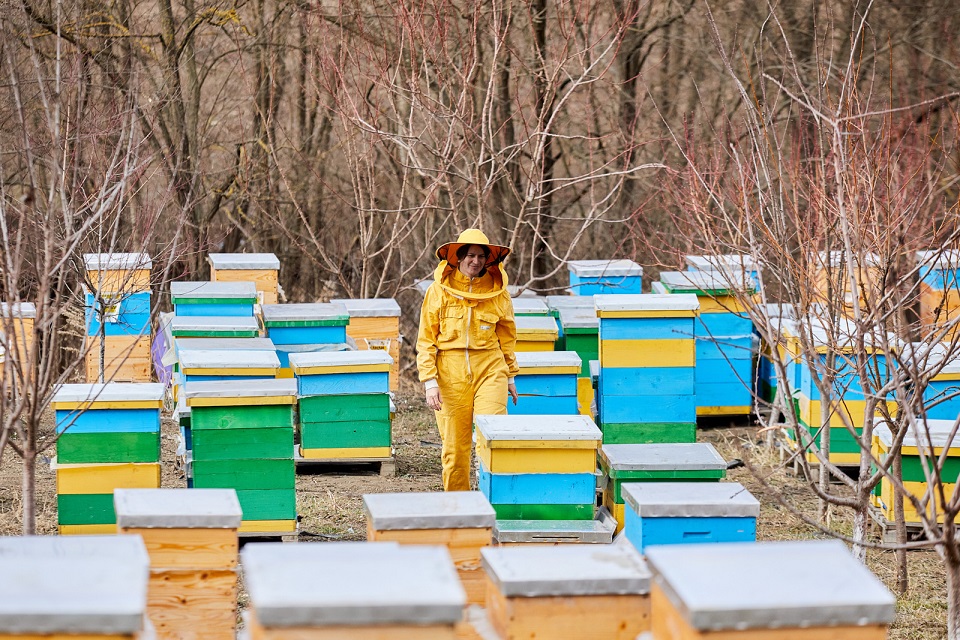 Cristina Bacaliuc has amassed more than 300 hives in her apiary. Photo: UN Women Moldova