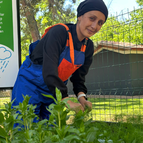 Özgül Yedipınar collects edible plants at the center’s garden. Photo: Ebru Demirel / UN Women