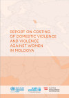 Report on Costing of Domestic Violence