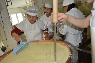Tajik cheese makers: “Tourists and alpinists visiting our mountains have long wanted a durable, hard cheese product, and we now have a chance to meet their needs” Photo: UN Women/ Martina Schlapbach