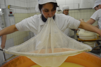 Ms. Mafchuda Abolokulova from Tajik “Asamat” self-help group dairy cooperative is learning to make new types of cheese. Photo: UN Women/ Zarina Urakova