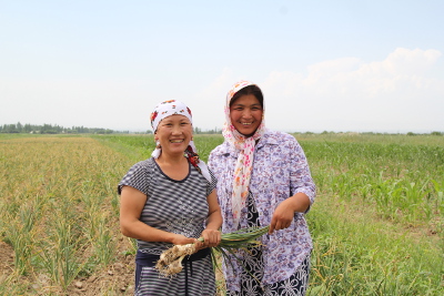 Two active members of self-help groups running a profitable garlic field using skills and knowledge gained through the joint programme. Photo: UN Women Kyrgyzstan/Meriza Emilbekova