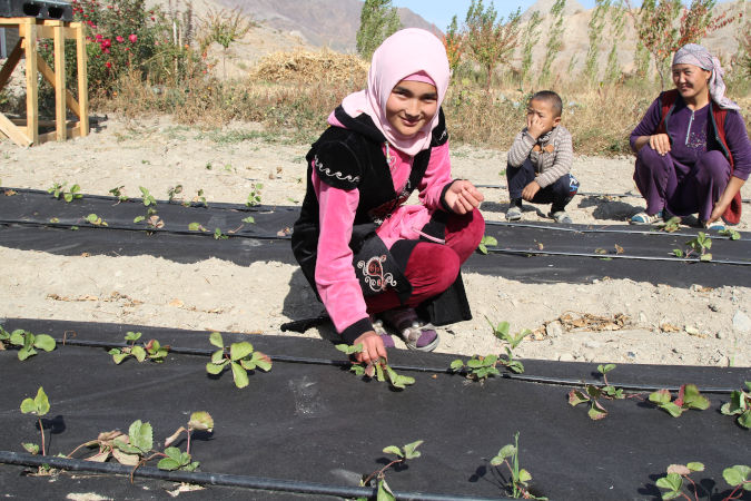 Kursanali kyzy Begimai while working in the field cultivating strawberries. Photo: UN Women/Tilebaldieva Kiyal