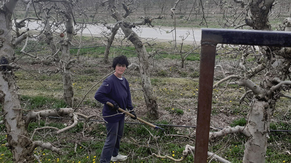 Frosina Gjorgievska, agricultural producer from Resen, North Macedonia. Photo curtesy of Ms. Gjorgievska.