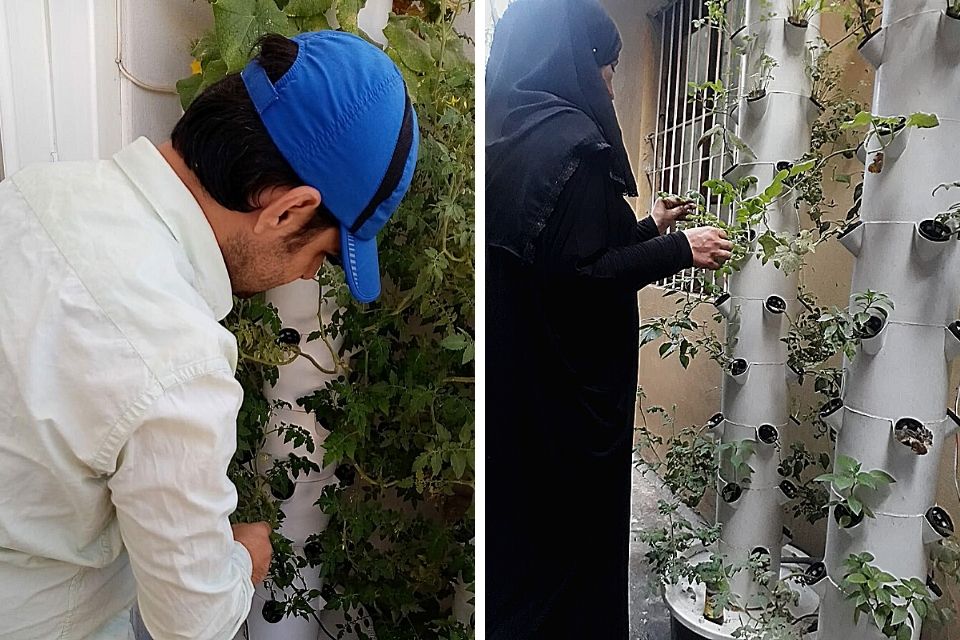 Emre Erhani and Fatena Khalil have been doing micro gardening and growing healthy and quality vegetables at home. Photo Credit: ASAM