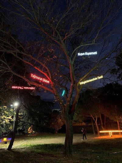 Wishing Tree - Fırat Engin