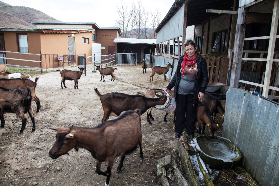 Goat cheese farmer and business owner Vidinka Markovic in Srbovac village of Kosovo (under UNSCR 1244) Photo: UN Women Europe and Central Asia/Rena Effendi