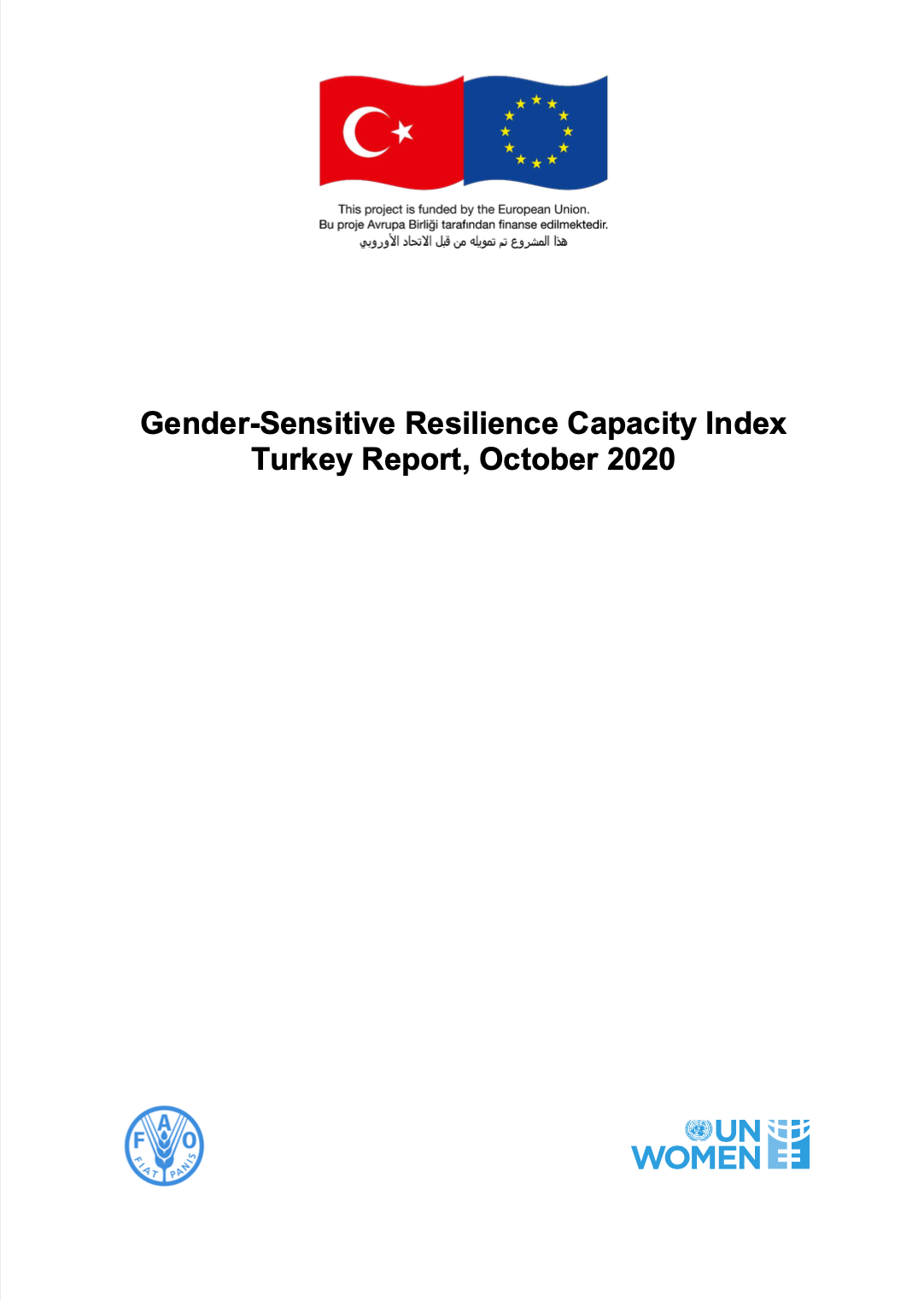 UN Women Gender Sensitive RIMA Report on the Madad Programme in Turkey October 2020.png