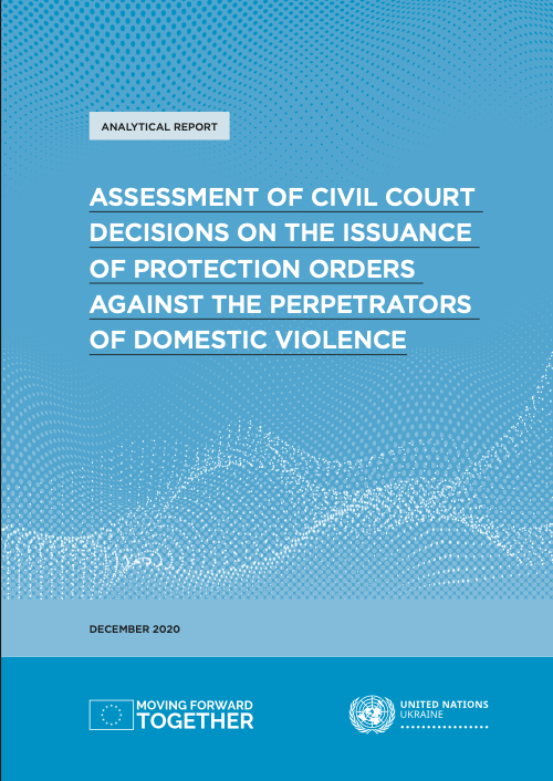 Assessment of civil court decisions on the issuance of protection orders cover page