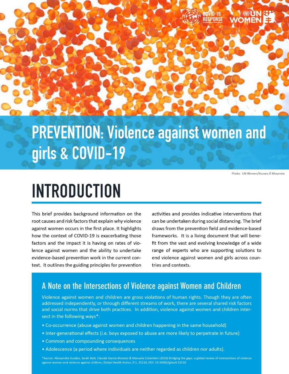 Brief: Prevention: Violence against women and girls and COVID-19