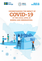 Understanding the Impact of COVID-19 at the local level in Bosnia and Herzegovina visual